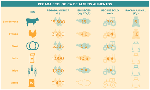 A pegada ecológica dos portugueses: o impacto do consumo de carne e peixe 3